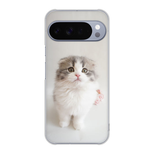 Google Pixel 10 Pro XL 高画質仕上げ 背面印刷 ハードケース 【VA803 まっていますネコ】