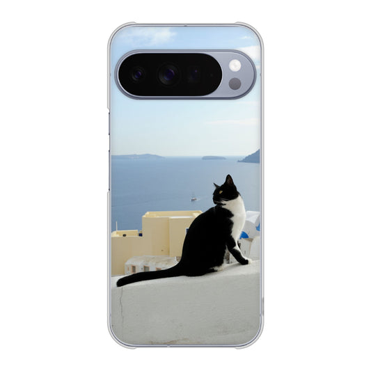 Google Pixel 10 Pro XL 高画質仕上げ 背面印刷 ハードケース 【VA805 ネコと地中海】