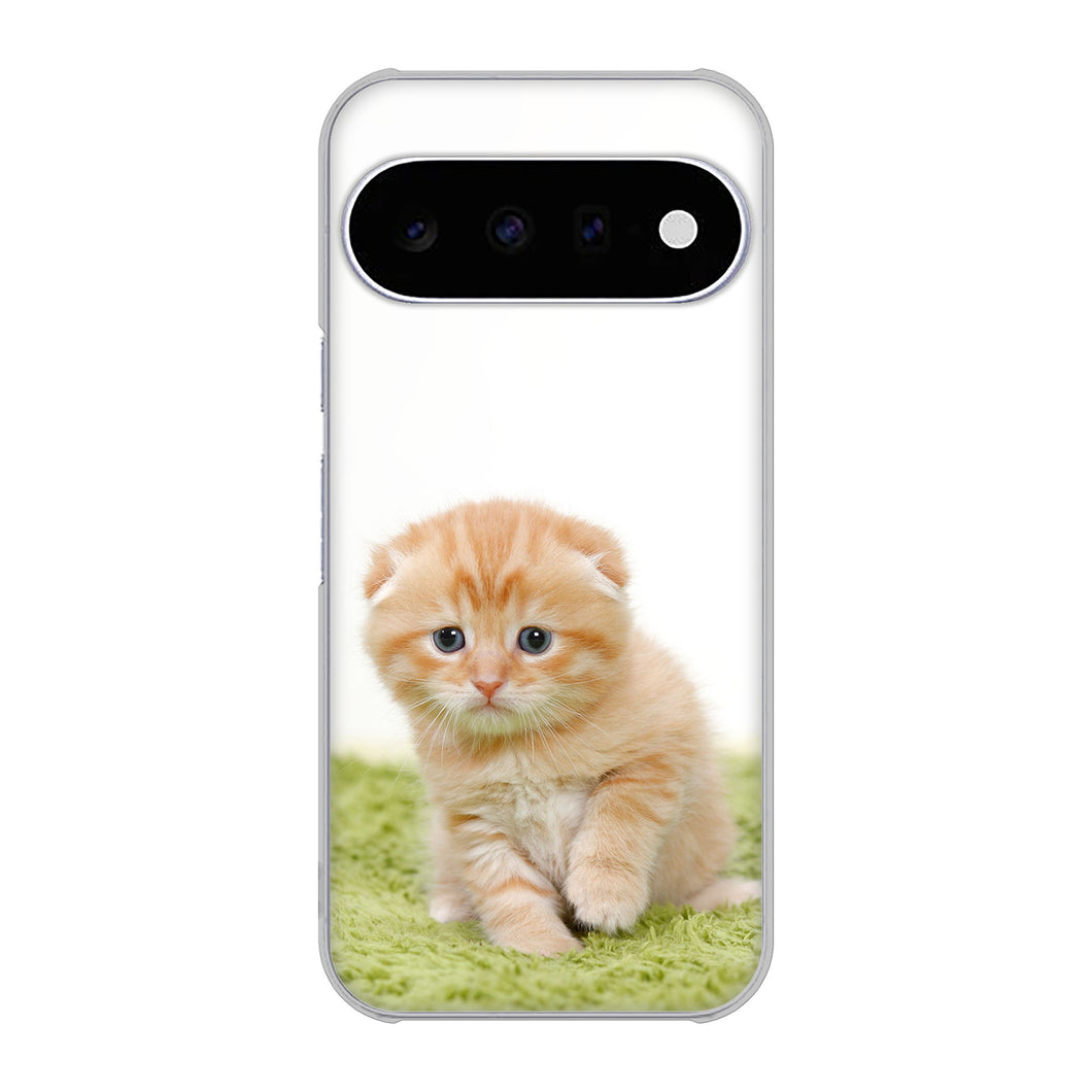 Google Pixel 11 高画質仕上げ 背面印刷 ハードケース 【VA802 ネコこっそり】