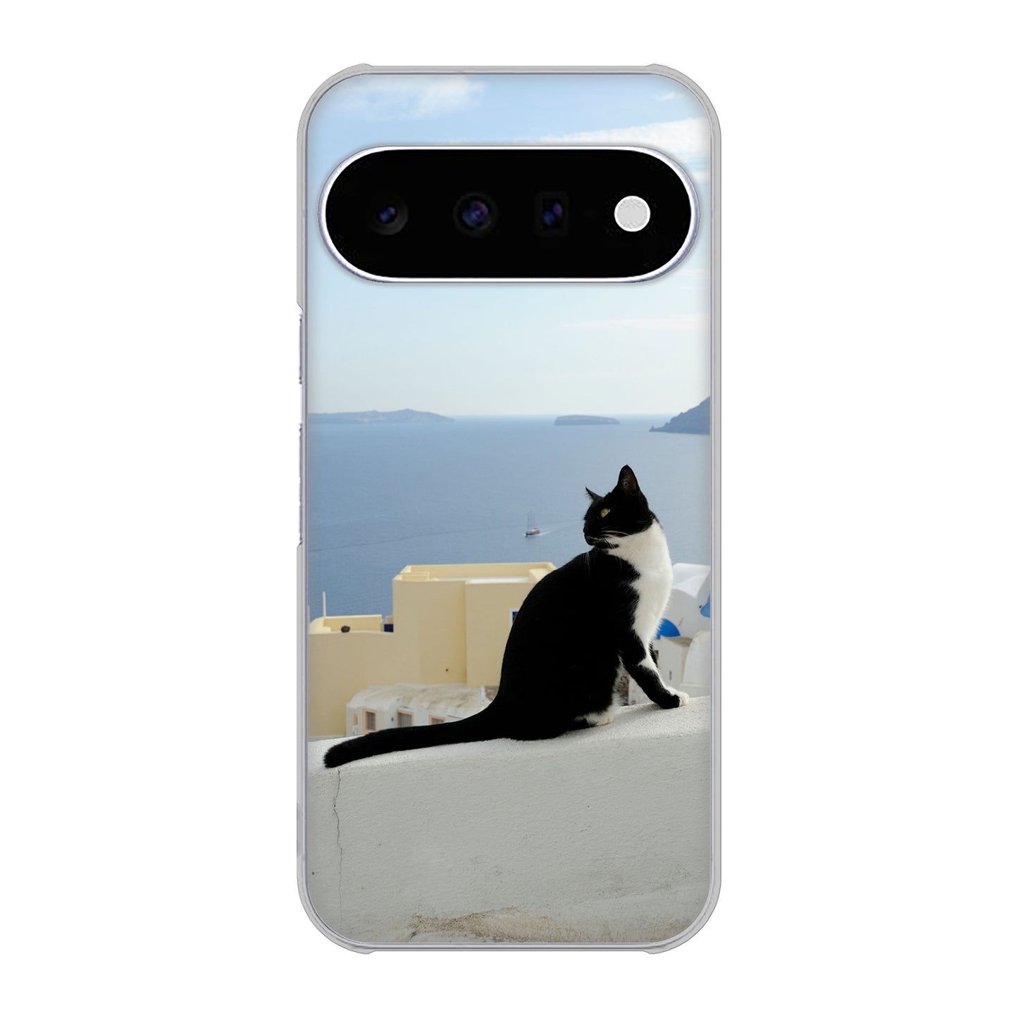Google Pixel 11 高画質仕上げ 背面印刷 ハードケース 【VA805 ネコと地中海】