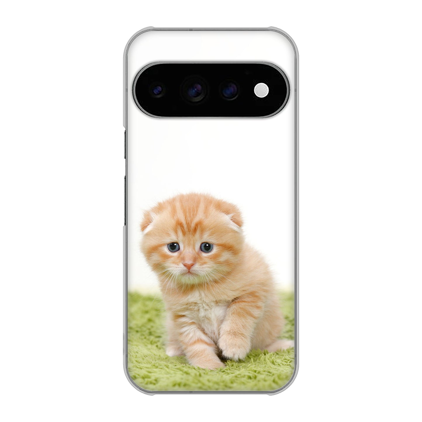 Google Pixel 11 Pro 高画質仕上げ 背面印刷 ハードケース 【VA802 ネコこっそり】