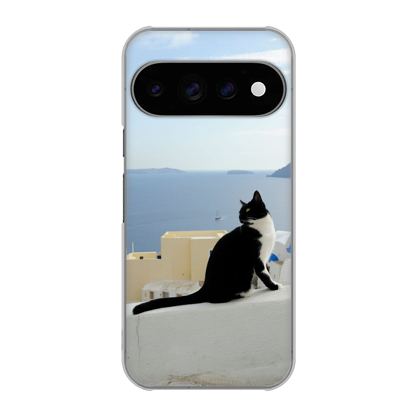 Google Pixel 11 Pro 高画質仕上げ 背面印刷 ハードケース 【VA805 ネコと地中海】
