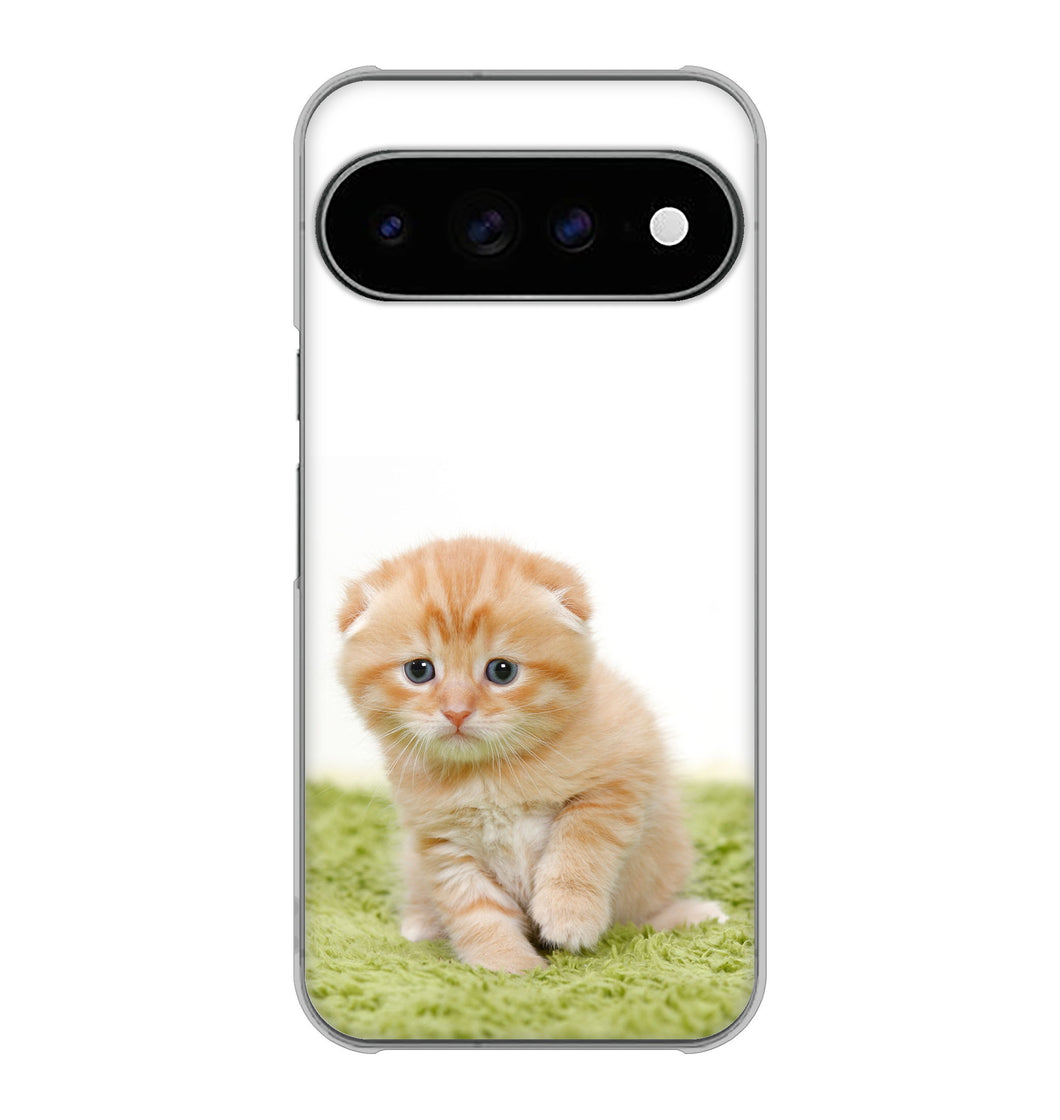 Google Pixel 11 Pro XL 高画質仕上げ 背面印刷 ハードケース 【VA802 ネコこっそり】