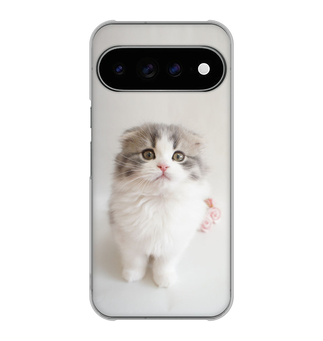 Google Pixel 11 Pro XL 高画質仕上げ 背面印刷 ハードケース 【VA803 まっていますネコ】