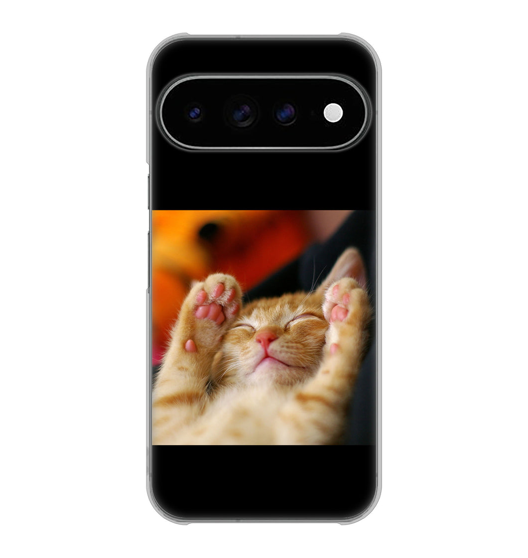 Google Pixel 11 Pro XL 高画質仕上げ 背面印刷 ハードケース 【VA804 爆睡するネコ】
