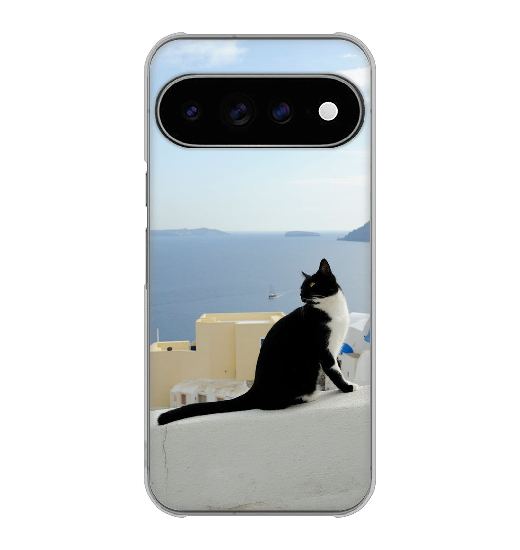 Google Pixel 11 Pro XL 高画質仕上げ 背面印刷 ハードケース 【VA805 ネコと地中海】