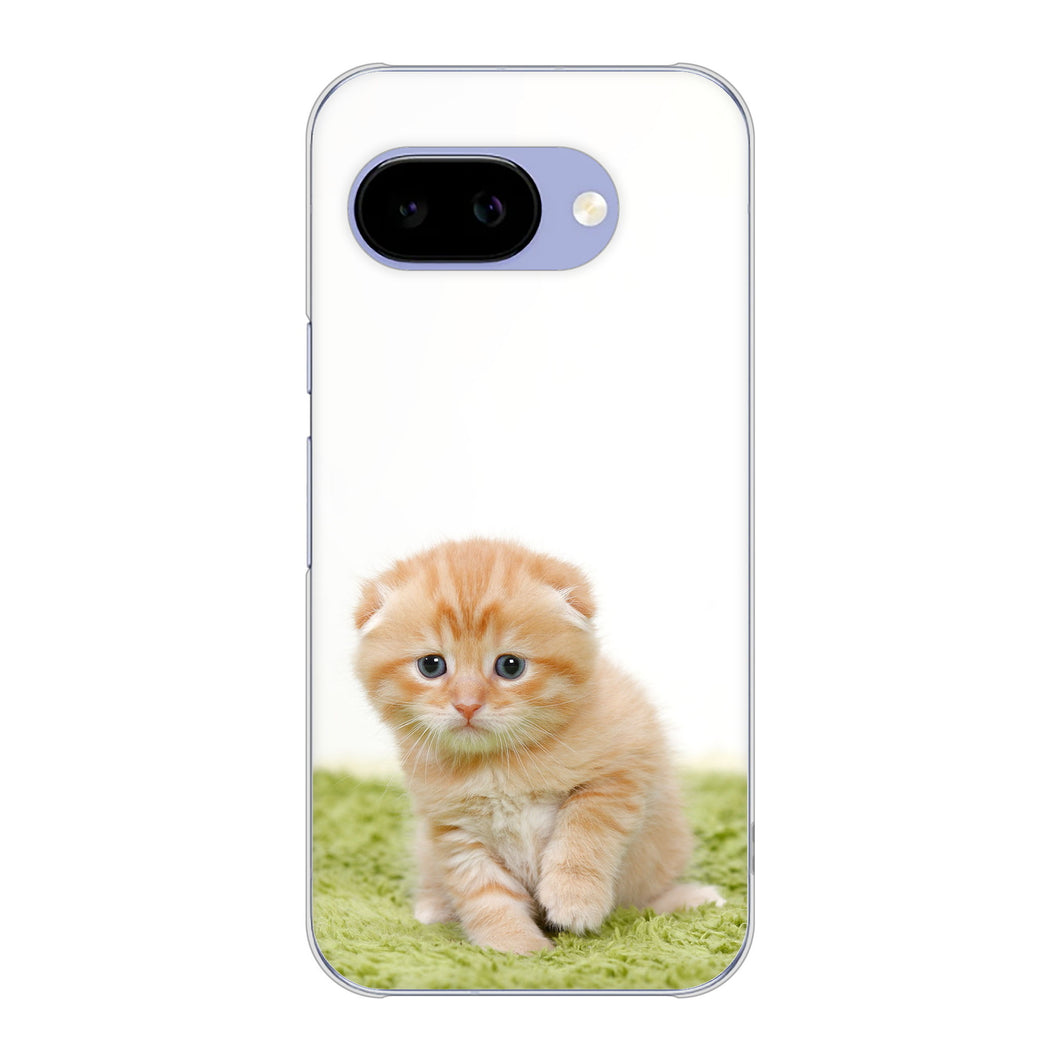 Google Pixel 9a 高画質仕上げ 背面印刷 ハードケース 【VA802 ネコこっそり】