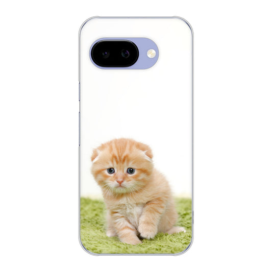 Google Pixel 9a 高画質仕上げ 背面印刷 ハードケース 【VA802 ネコこっそり】