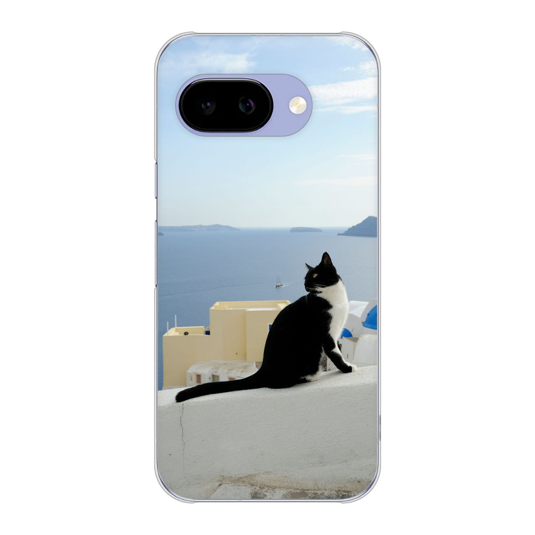 Google Pixel 9a 高画質仕上げ 背面印刷 ハードケース 【VA805 ネコと地中海】