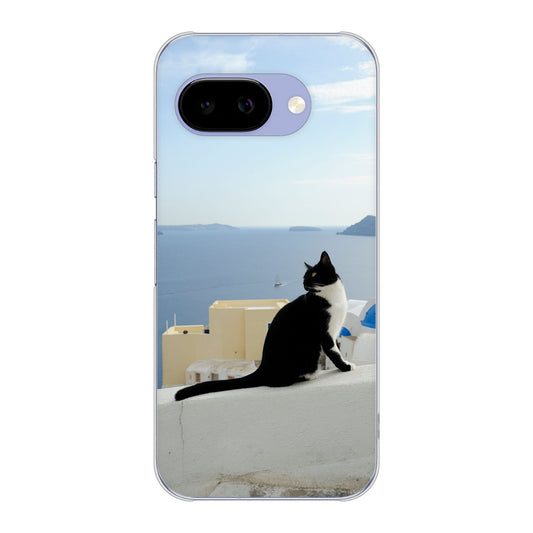 Google Pixel 9a 高画質仕上げ 背面印刷 ハードケース 【VA805 ネコと地中海】