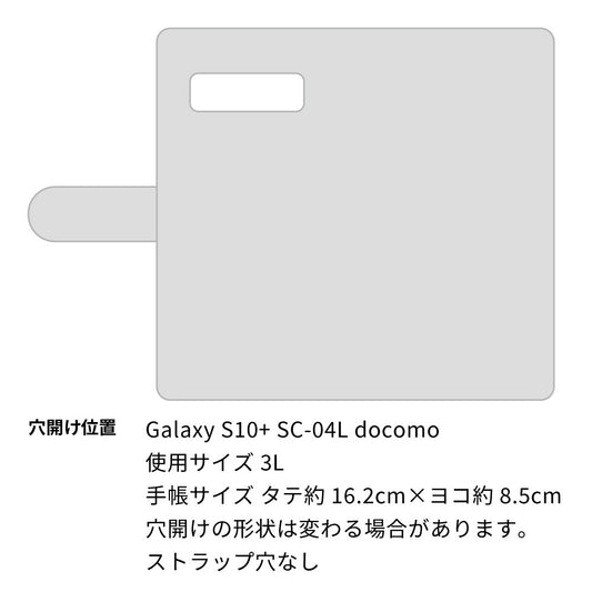 Galaxy S10+ SC-04L docomo ビニール素材のスケルトン手帳型ケース クリア