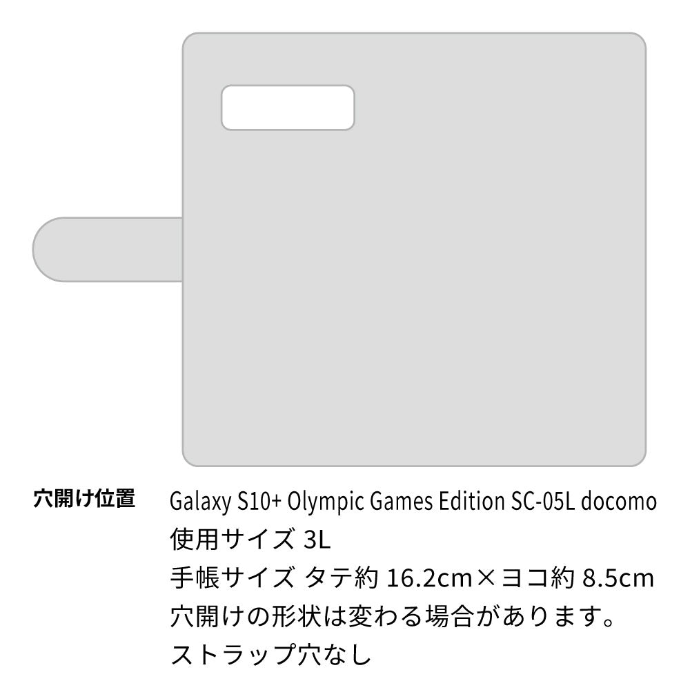 Galaxy S10+ Olympic Games Edition docomo カーボン柄レザー 手帳型ケース