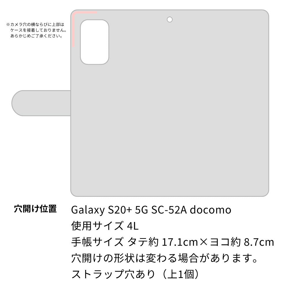 Galaxy S20+ 5G SC-52A docomo 花のスケッチ 大人かわいい プリント手帳型ケース 耐衝撃
