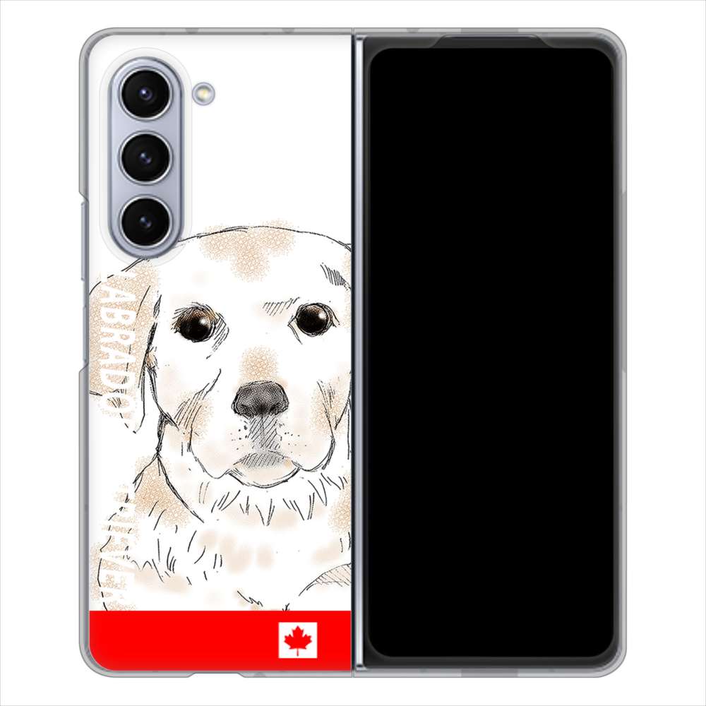 Galaxy Z Fold5 SC-55D docomo 高画質仕上げ 背面印刷 ハードケースラブラドールレトリバー