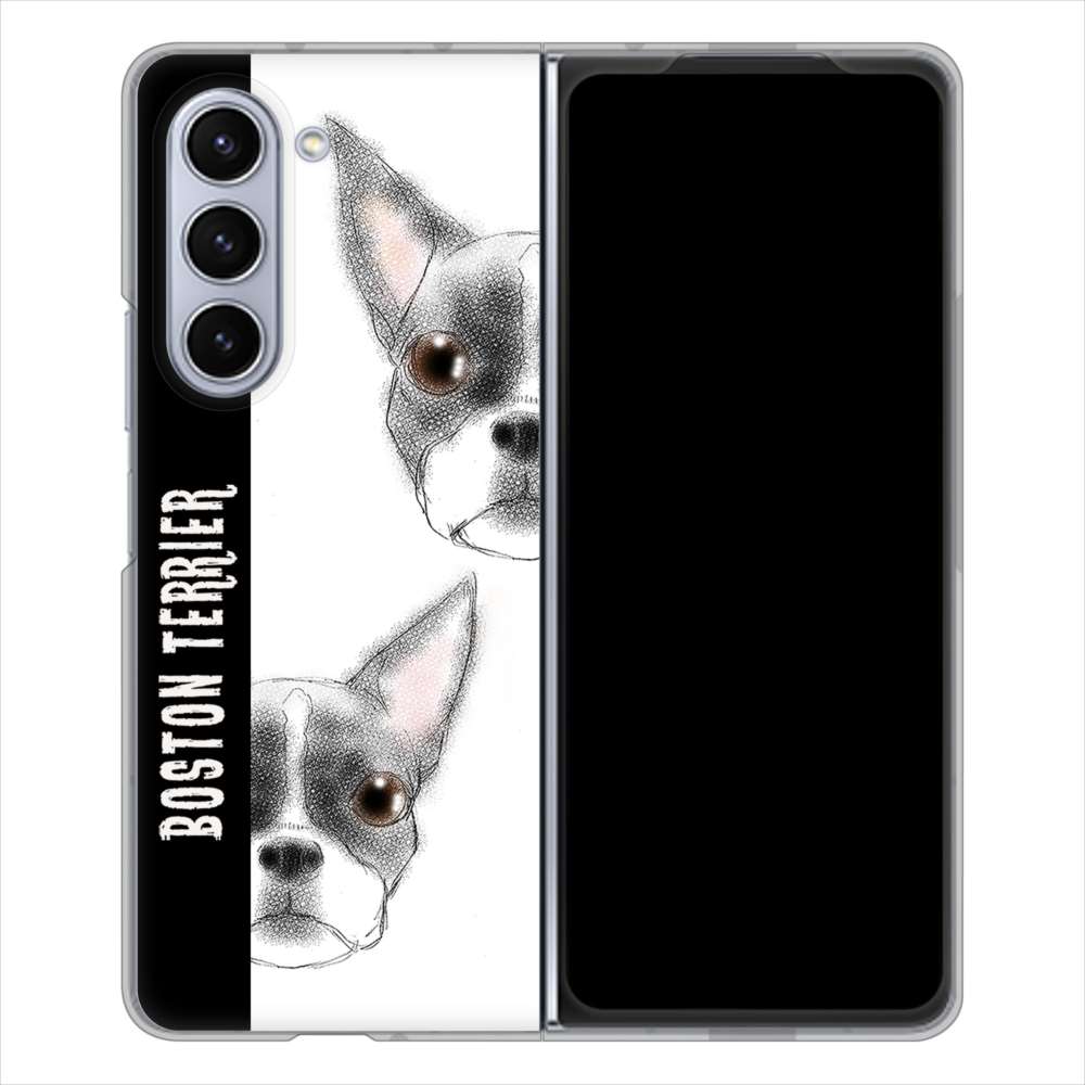 Galaxy Z Fold5 SC-55D docomo 高画質仕上げ 背面印刷 ハードケースボストンテリア