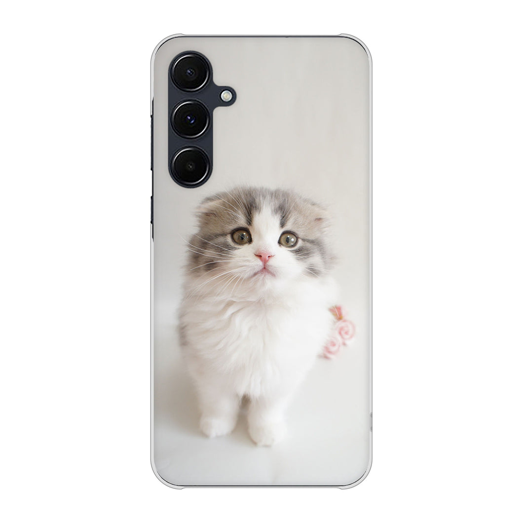 Galaxy A55 5G SCG27 au 高画質仕上げ 背面印刷 ハードケース 【VA803 まっていますネコ】