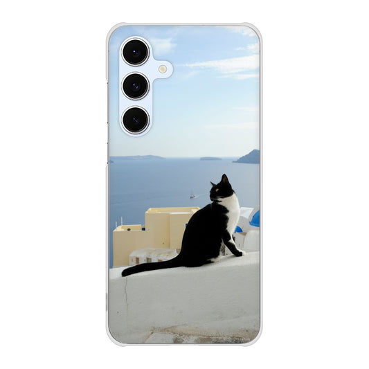 Galaxy S24 FE SCG30 au 高画質仕上げ 背面印刷 ハードケース 【VA805 ネコと地中海】