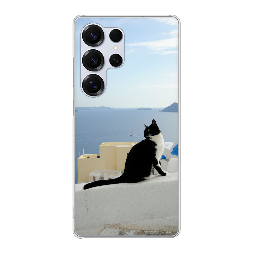 Galaxy S25 Ultra SCG32 au 高画質仕上げ 背面印刷 ハードケース 【VA805 ネコと地中海】