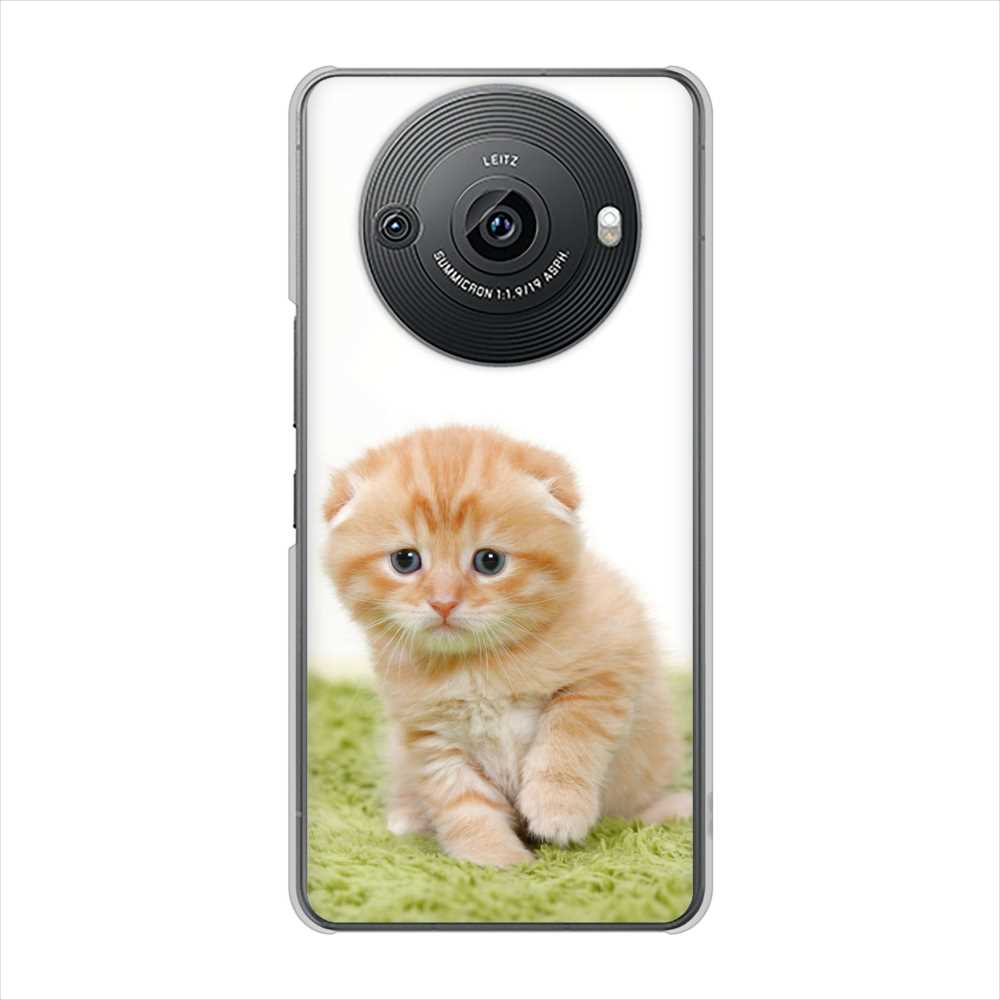 AQUOS R8 pro SH-51D docomo 高画質仕上げ 背面印刷 ハードケース 【VA802 ネコこっそり】