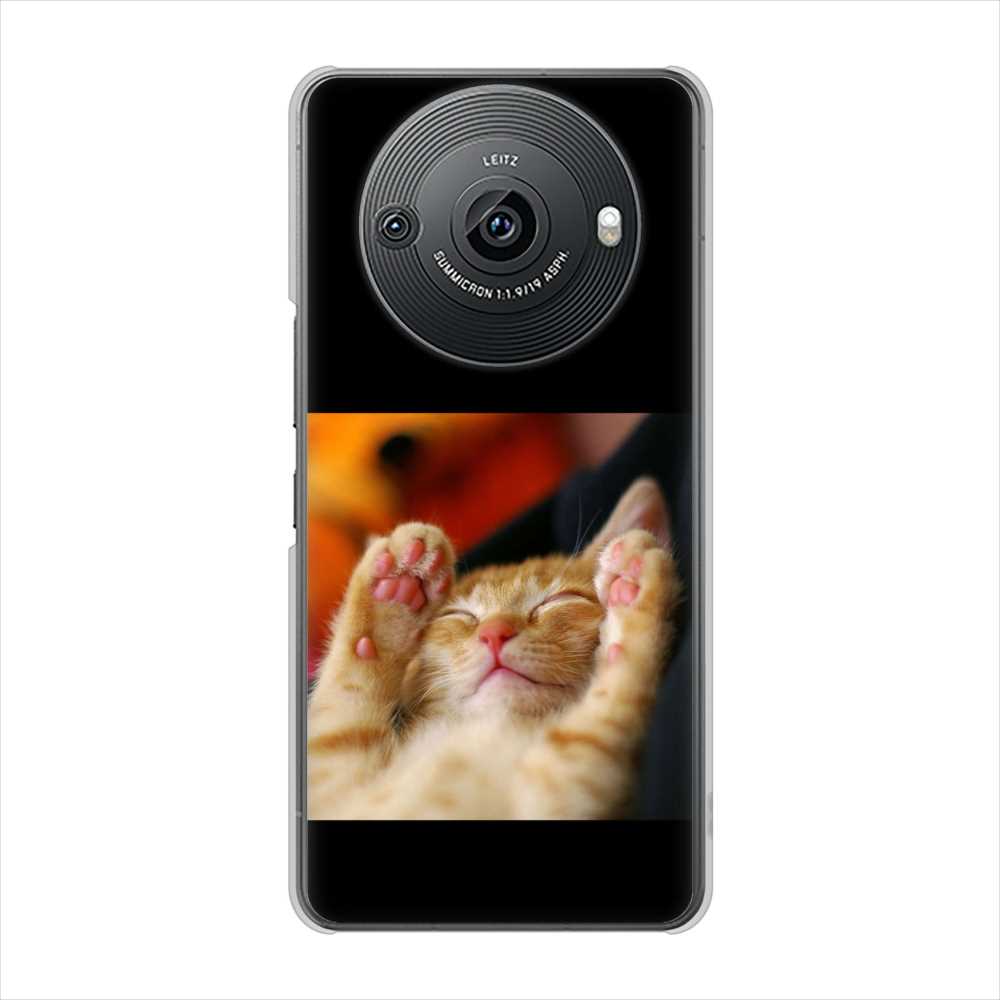 AQUOS R8 pro SH-51D docomo 高画質仕上げ 背面印刷 ハードケース 【VA804 爆睡するネコ】