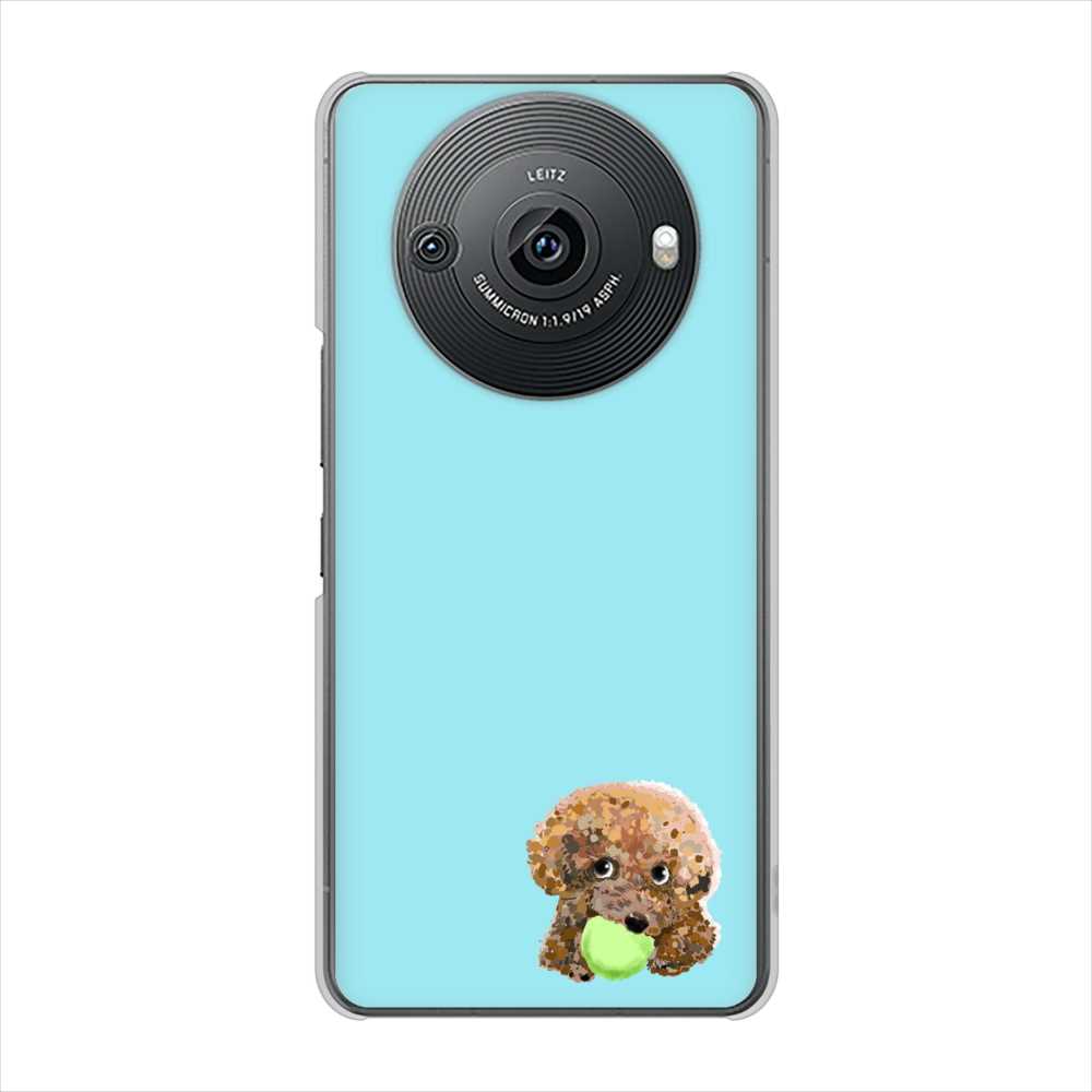 AQUOS R8 pro SH-51D docomo 高画質仕上げ 背面印刷 ハードケーストイプードル＆ボール