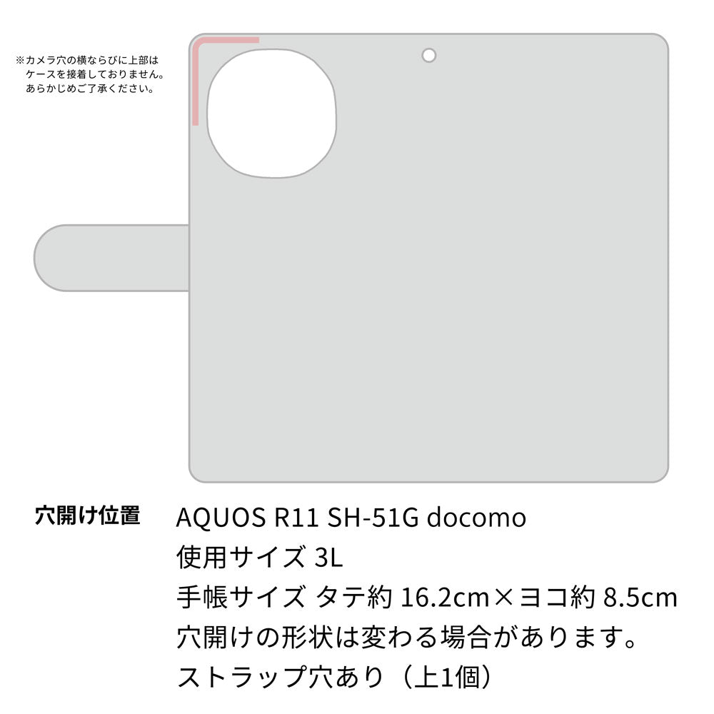 AQUOS R11 SH-51G docomo 高画質仕上げ プリント手帳型ケース ( 通常型 )大野詠舟 スポーツ