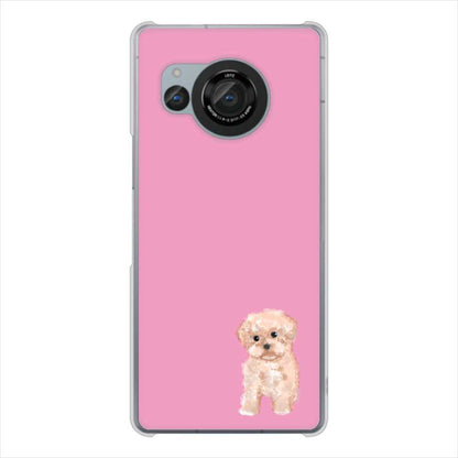 AQUOS R8 SH-52D docomo 高画質仕上げ 背面印刷 ハードケーストイプードルアプリコット