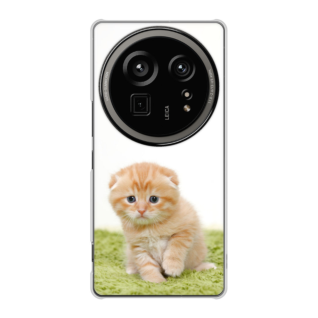 AQUOS R9 pro SH-54E docomo 高画質仕上げ 背面印刷 ハードケース 【VA802 ネコこっそり】