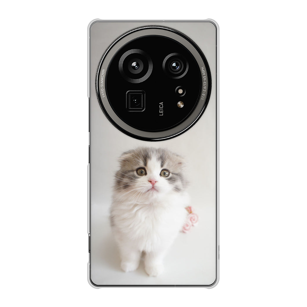 AQUOS R9 pro SH-54E docomo 高画質仕上げ 背面印刷 ハードケース 【VA803 まっていますネコ】