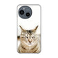 AQUOS sense9 SHG14 au 高画質仕上げ 背面印刷 ハードケース 【VA801 笑福ねこ】