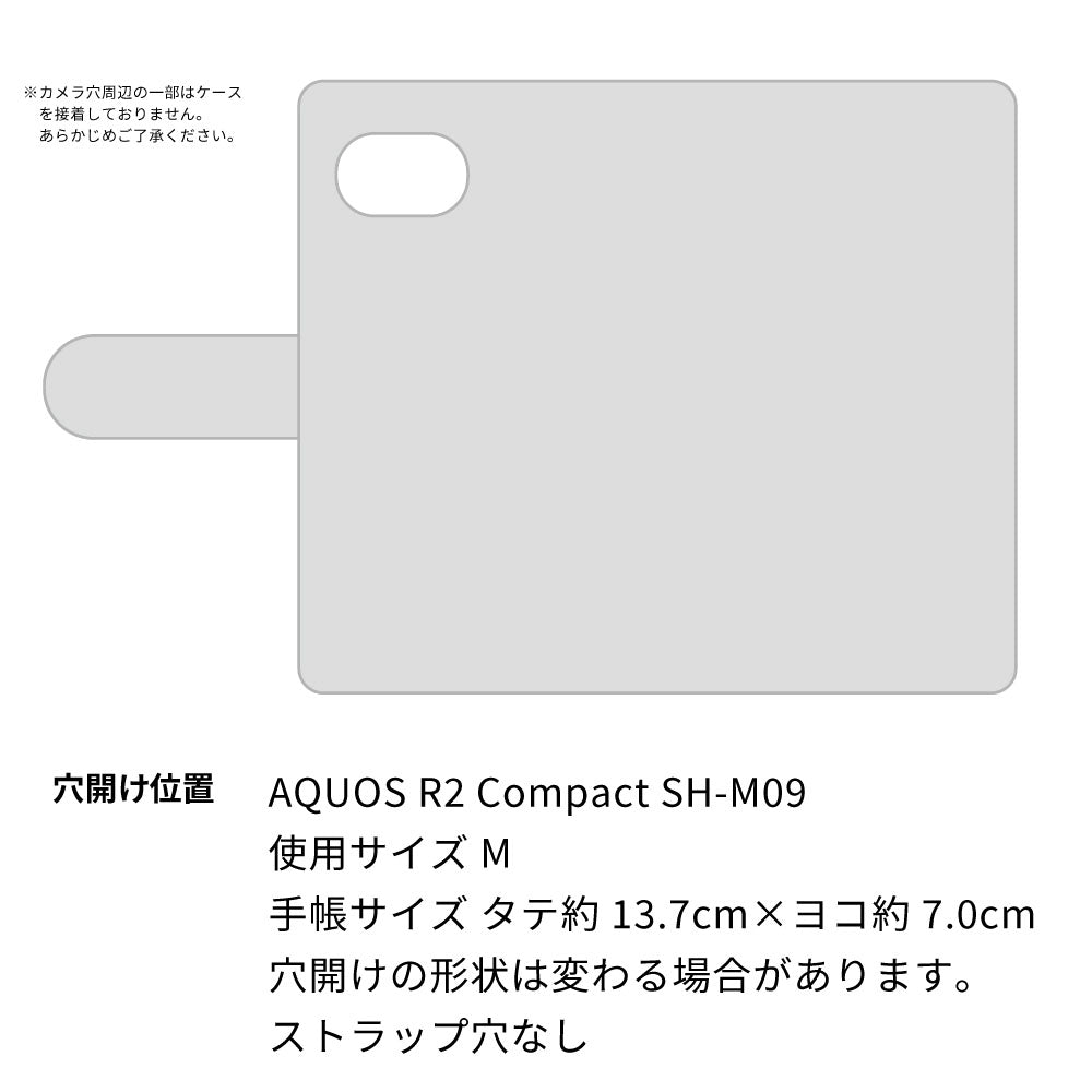 AQUOS R2 compact SH-M09 スマホショルダー 手帳型 縦向き くすみカラー スタンド機能付