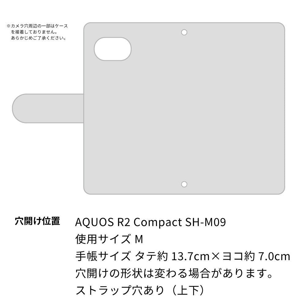 AQUOS R2 compact SH-M09 スマホショルダー 手帳型 くすみカラー ミラー スタンド機能付 耐衝撃