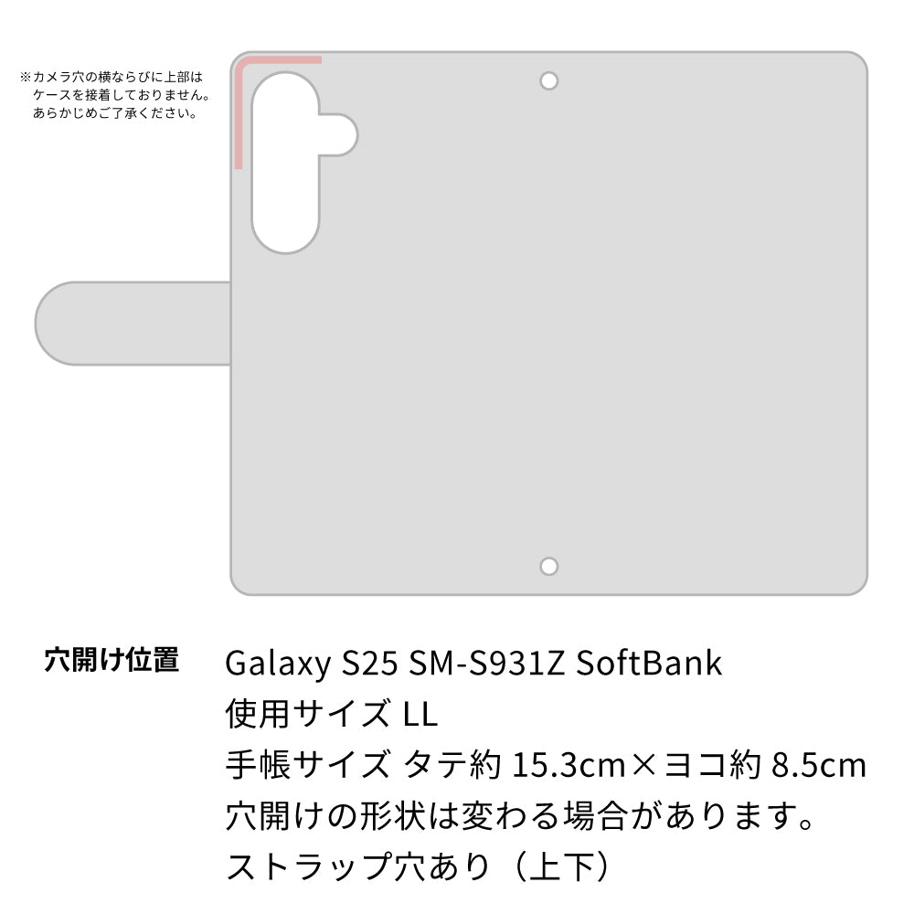 Galaxy S25 SM-S931Z SoftBank クリアプリントブラックタイプ 手帳型ケース 耐衝撃