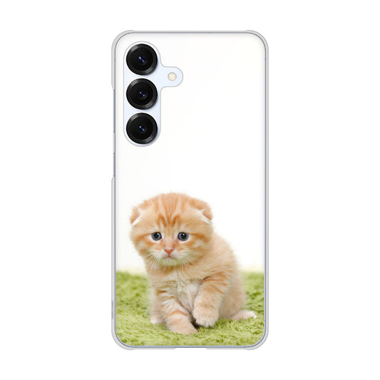 Galaxy S25 SM-S931Z SoftBank 高画質仕上げ 背面印刷 ハードケース 【VA802 ネコこっそり】