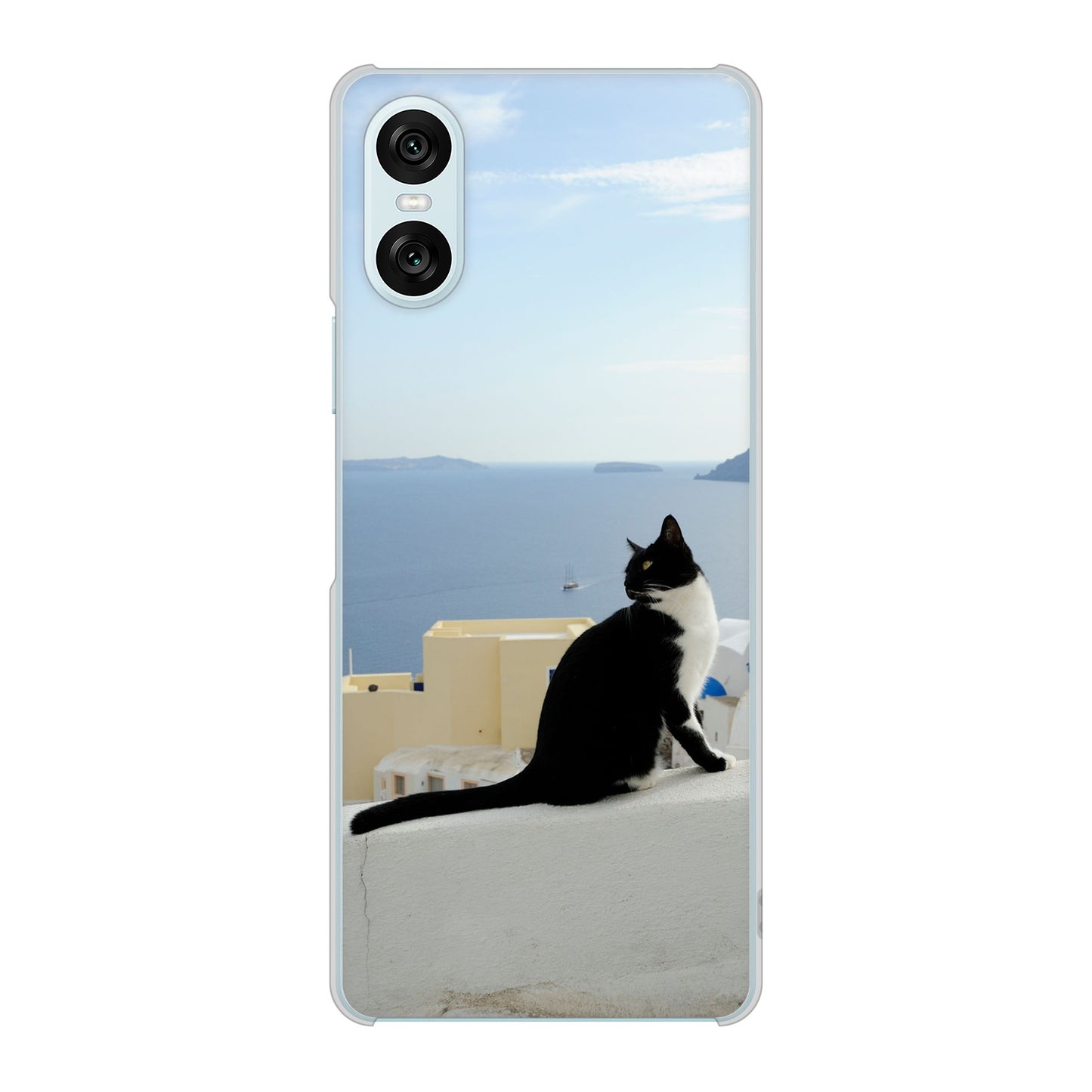 Xperia 10 VI SO-52E docomo 高画質仕上げ 背面印刷 ハードケース 【VA805 ネコと地中海】