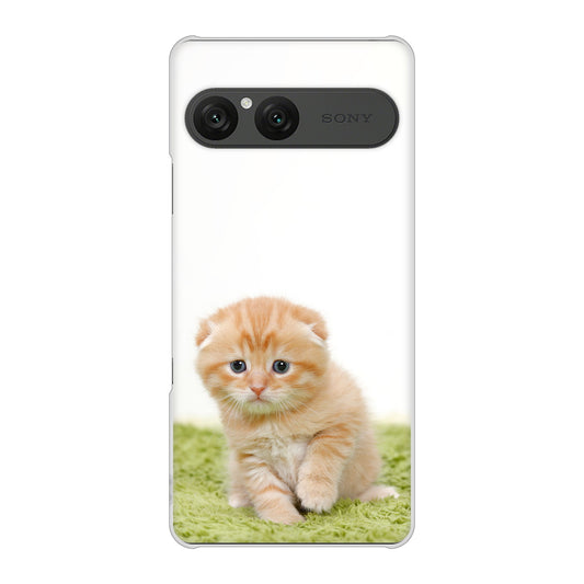 Xperia 10 VII SO-52F docomo 高画質仕上げ 背面印刷 ハードケース 【VA802 ネコこっそり】