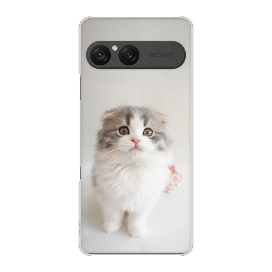 Xperia 10 VII SO-52F docomo 高画質仕上げ 背面印刷 ハードケース 【VA803 まっていますネコ】