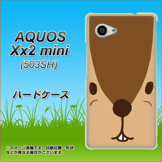 SoftBank アクオス Xx2 mini 503SH 高画質仕上げ 背面印刷 ハードケース【349 りす】