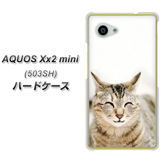 SoftBank アクオス Xx2 mini 503SH 高画質仕上げ 背面印刷 ハードケース【VA801 笑福ねこ】