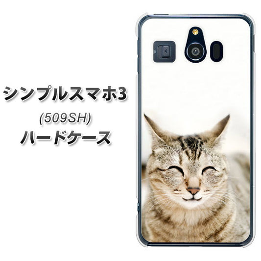 Softbank シンプルスマホ3 509SH 高画質仕上げ 背面印刷 ハードケース【VA801 笑福ねこ】