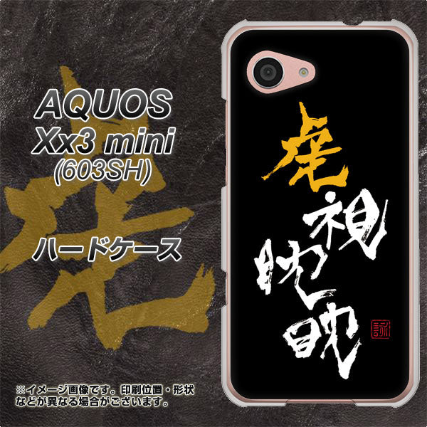 SoftBank アクオス Xx3 mini 603SH 高画質仕上げ 背面印刷 ハードケース【OE803 虎視眈々】