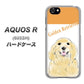 SoftBank アクオスR 605SH 高画質仕上げ 背面印刷 ハードケース【YD827 ゴールデンレトリバー03】