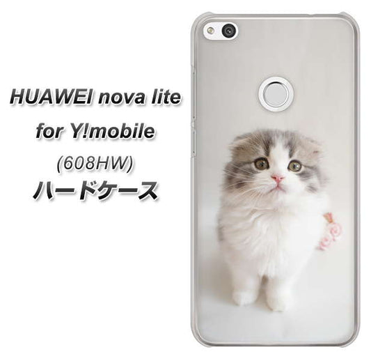 HUAWEI nova lite for Y!mobile 608HW 高画質仕上げ 背面印刷 ハードケース【VA803 まっていますネコ】