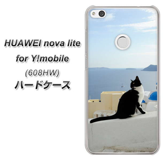 HUAWEI nova lite for Y!mobile 608HW 高画質仕上げ 背面印刷 ハードケース【VA805 ネコと地中海】