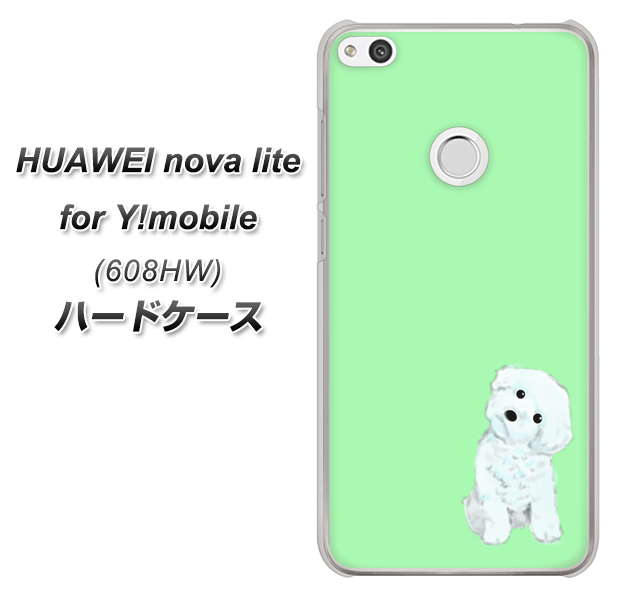 HUAWEI nova lite for Y!mobile 608HW 高画質仕上げ 背面印刷 ハードケース【YJ071 トイプードルホワイト（グリーン）】