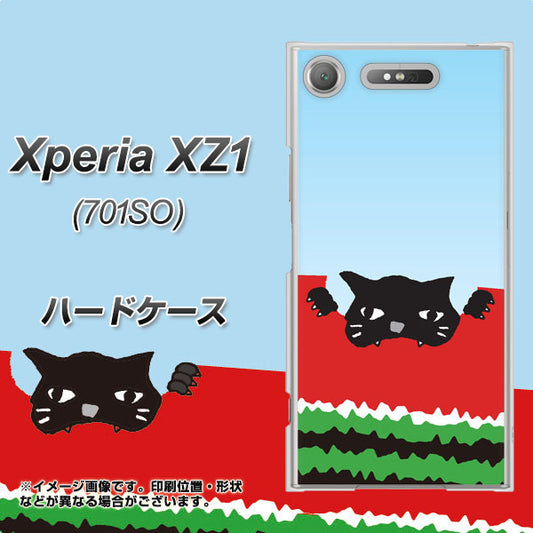 SoftBank エクスペリア XZ1 701SO 高画質仕上げ 背面印刷 ハードケース【IA815 すいかをかじるネコ(大)】