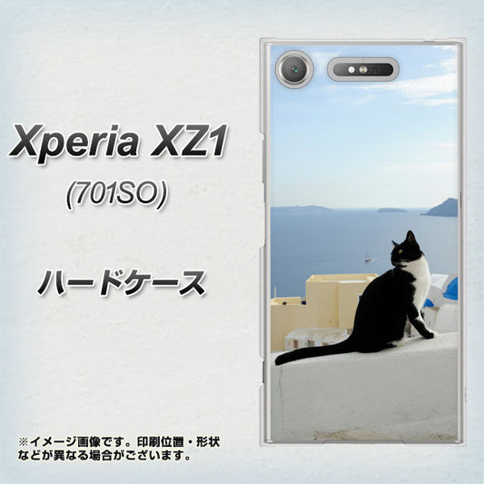 SoftBank エクスペリア XZ1 701SO 高画質仕上げ 背面印刷 ハードケース【VA805 ネコと地中海】