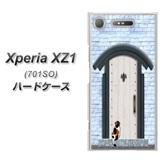 SoftBank エクスペリア XZ1 701SO 高画質仕上げ 背面印刷 ハードケース【YA951 石ドア01】