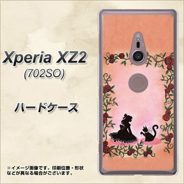 SoftBank エクスペリア XZ2 702SO 高画質仕上げ 背面印刷 ハードケース【1096 お姫様とネコ（カラー）】