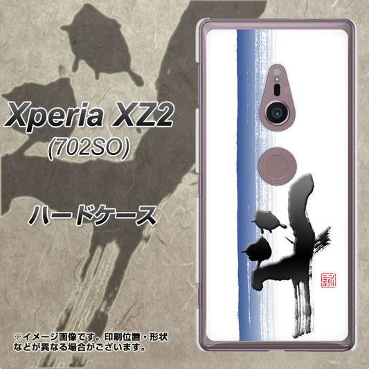 SoftBank エクスペリア XZ2 702SO 高画質仕上げ 背面印刷 ハードケース【OE829 斗】